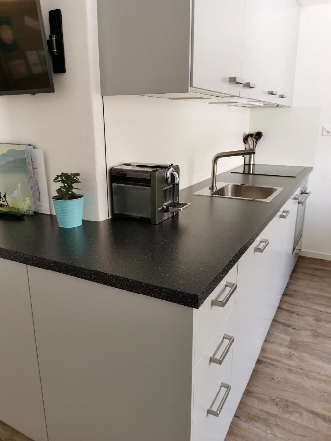 Appartement Tgèsa Dutg Grond à Sedrun Extérieur photo